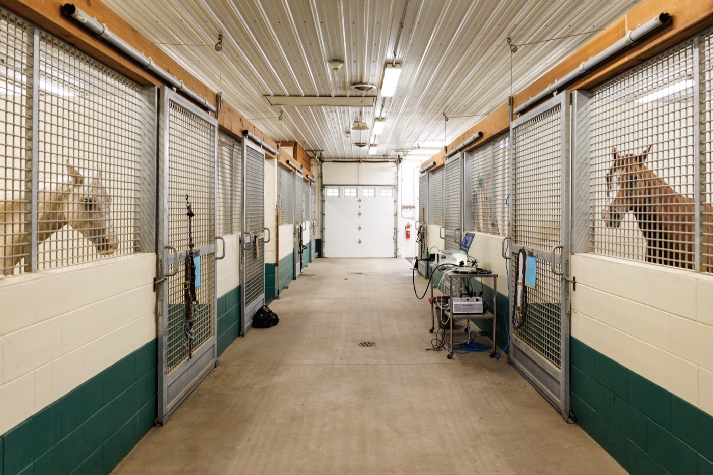 The hospital barn aisle where surgical patients recover