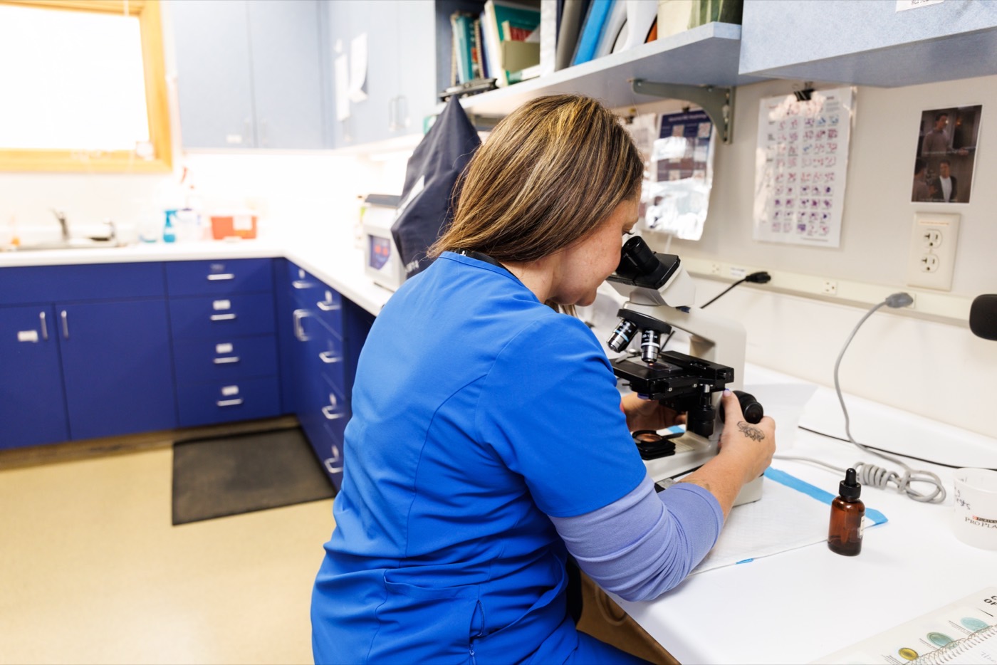 A technician reading a slide at the laboratory microscope