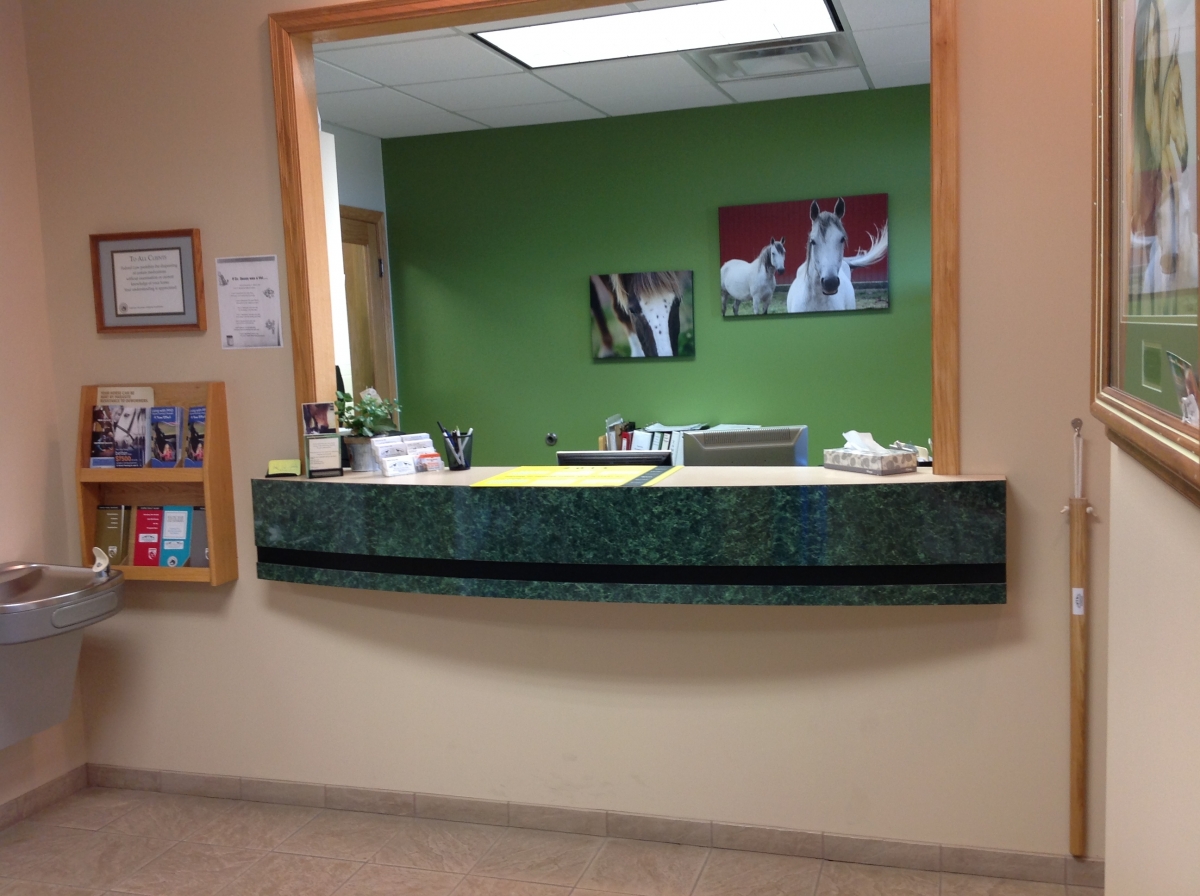 Equine reception desk