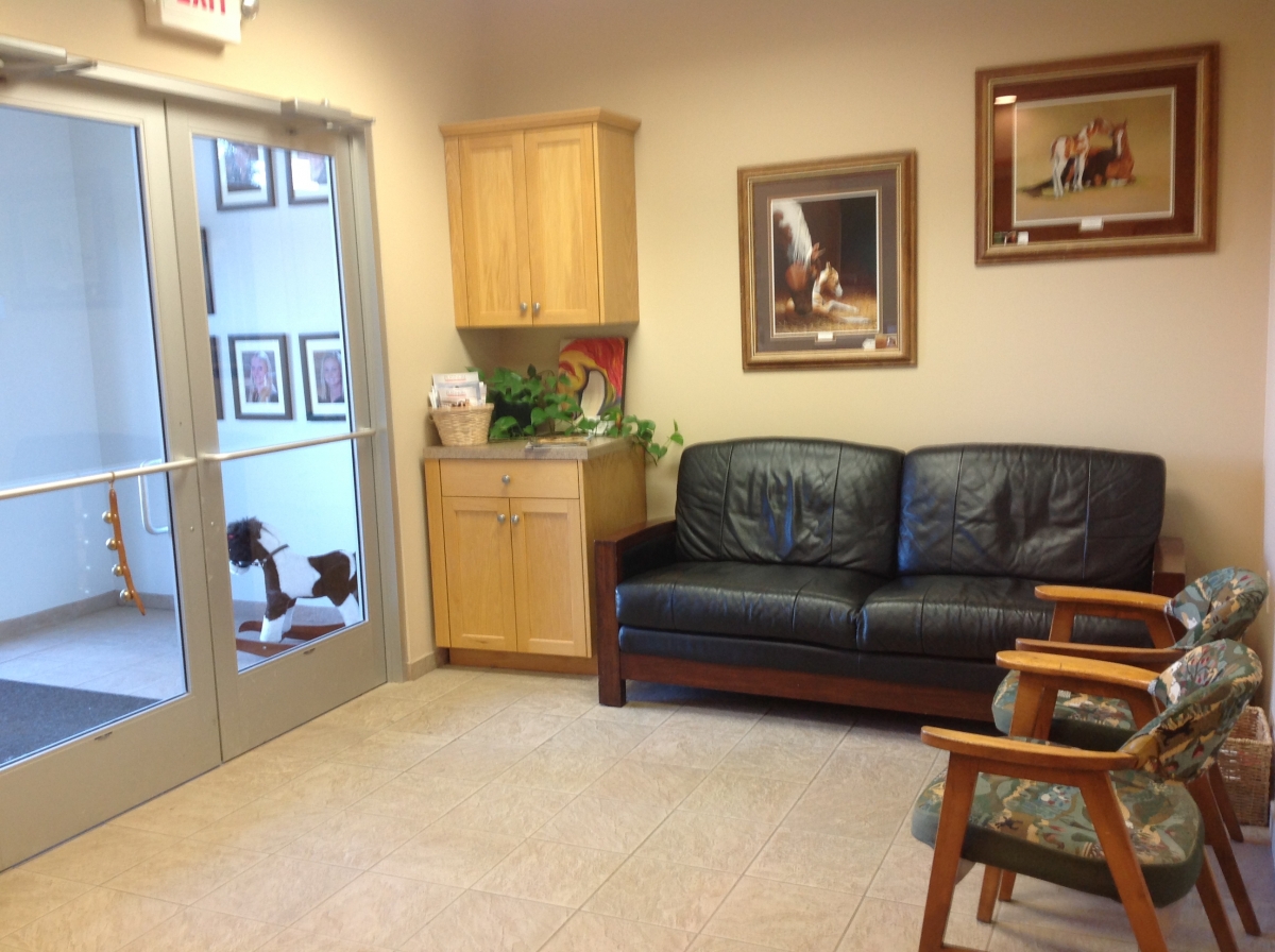 Equine client waiting area