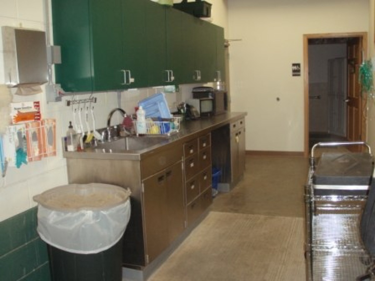 Equine treatment room