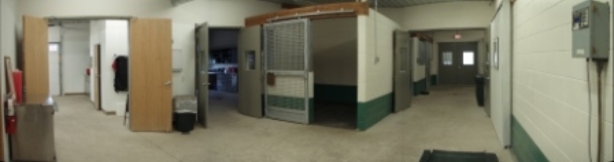 Equine barn aisle and stalls